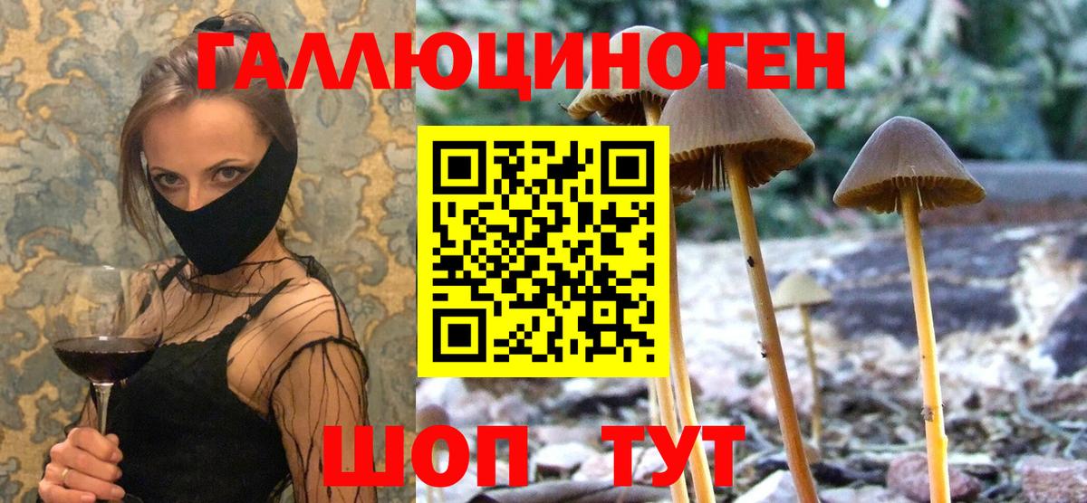 Галлюциногенные грибы MAGIC MUSHROOMS Сарапул
