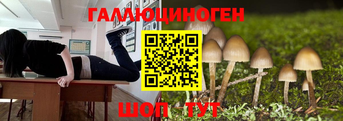 Псилоцибиновые грибы прущие грибы  Вход с VPN  Псилоцибиновые грибы ЛСД  цена наркотик  Сарапул 